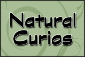 Natural Curios
