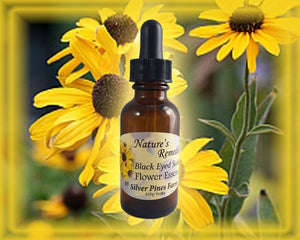 Black Eyed Susan Flower Remedy