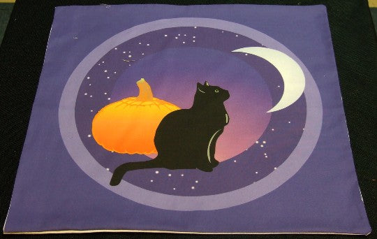 Black Cat Looks at the Moon